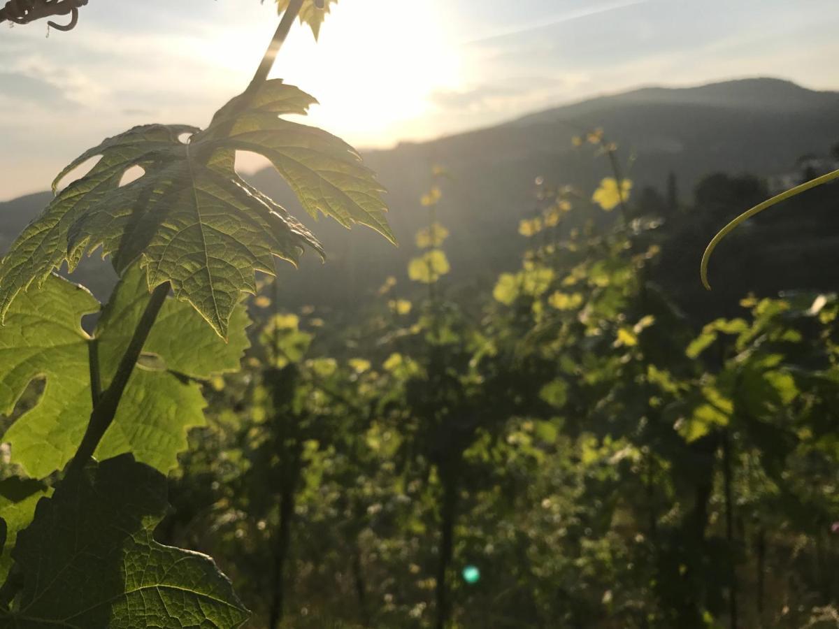 Locanda "Al Terrazzo" Erbezzo Buitenkant foto